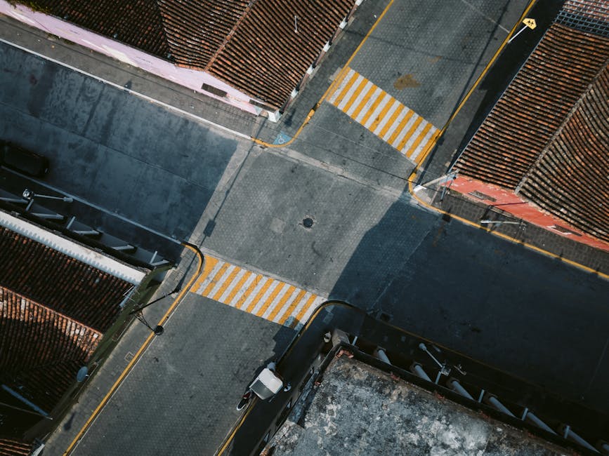 導賞團：探索生活中的美好與意義